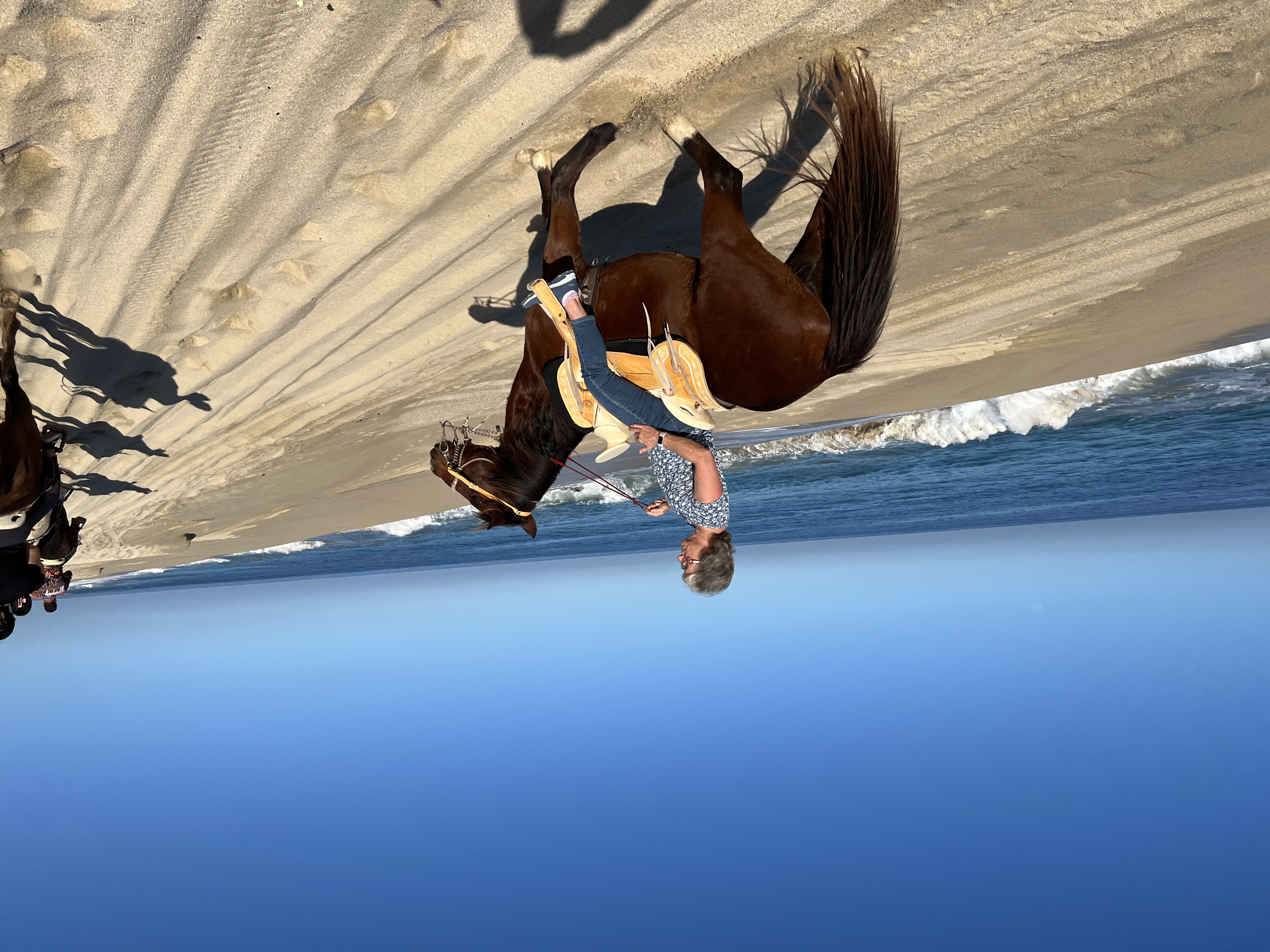 ./2024/13 - Cabo/IMG_4436.jpg